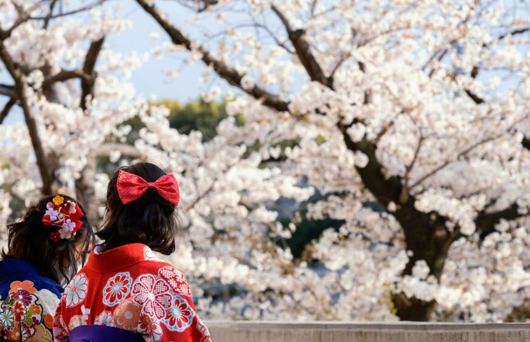 ယဉ်ကျေးမှုဆိုင်ရာ လိုက်လျောညီထွေရှိရေး မြှင့်တင်ခြင်း